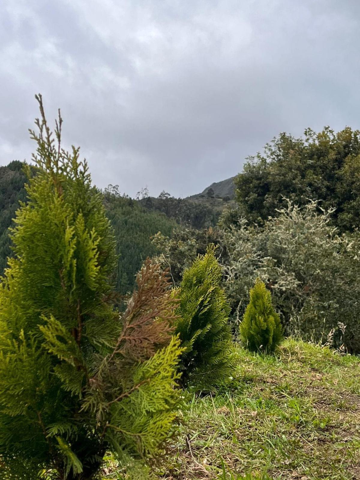 En La Montana Holiday home *